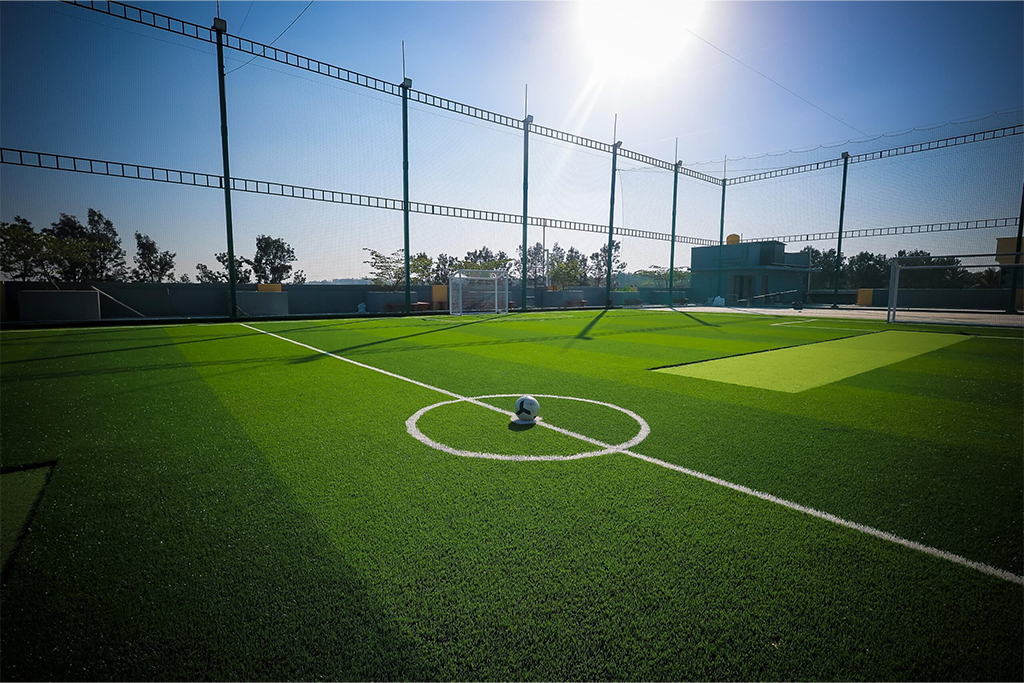 Best Sports Turf Model for Investors in India